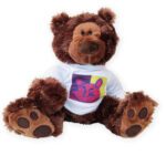 Next Product - Stuffed Brown Bear with T-Shirt
