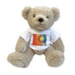 Next Product - Stuffed Sandy Bear with T-Shirt